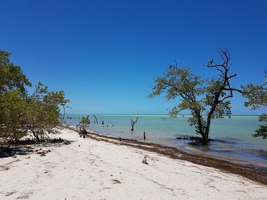 Muelle de Holbox